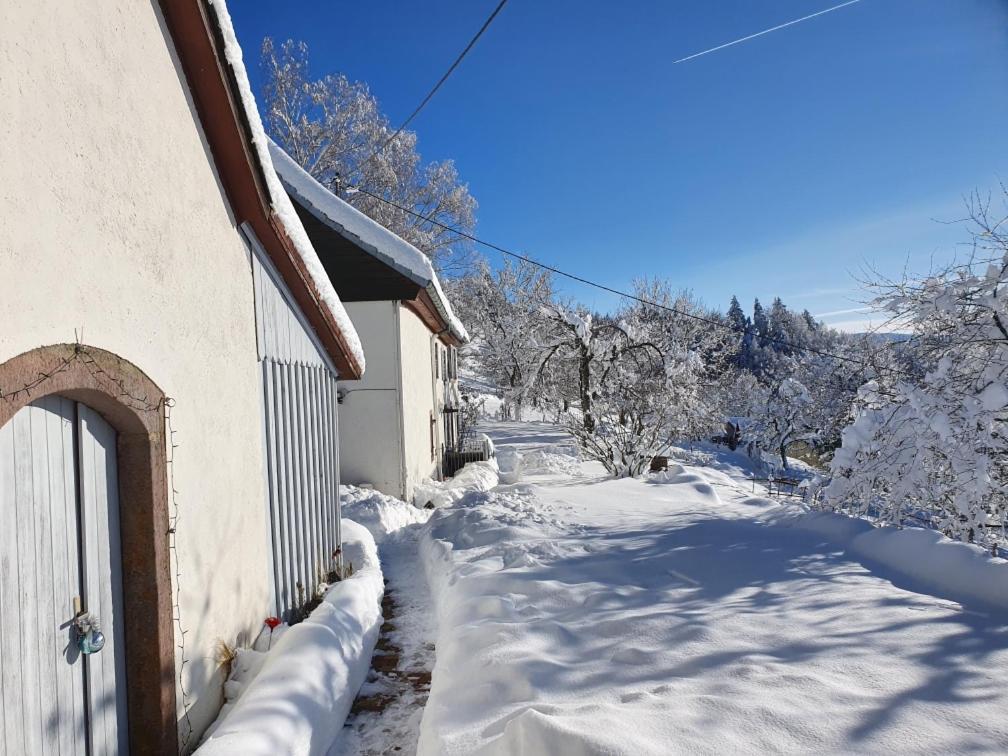 Le Nid Du Kaloui Bed & Breakfast Fréland Exterior photo